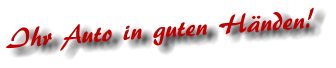 Ihr Auto in guten H�nden!